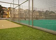 Cricket